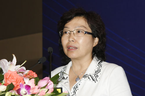 图文:工信部运行监测协调局局高素梅