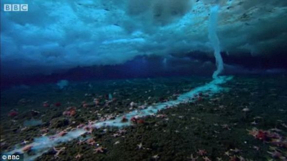 周围的海水遇到盐水后快速冻结，此时的冰更像是一个海绵，而不是普通的冰