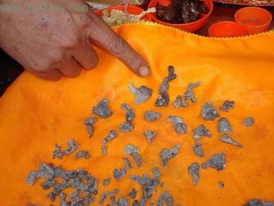 福建老尼圆寂火化后出现60颗舍利(图)