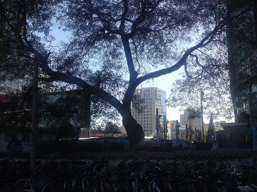 800万像素 lg滑盖kc780拍照专项评测(8)