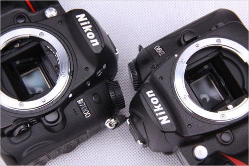 同门师兄比个头 尼康d90/尼康d7000对比