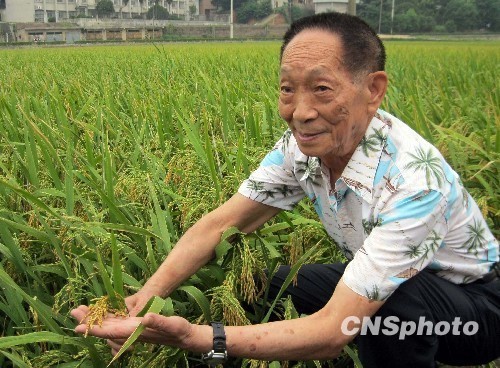 袁隆平揭秘亩产900公斤中国超级种子