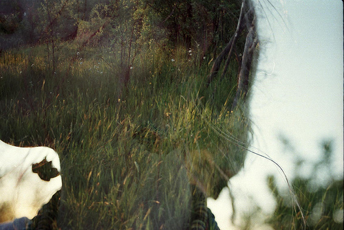 相机胶片魅力体现:超有趣的双重曝光拍摄(2)