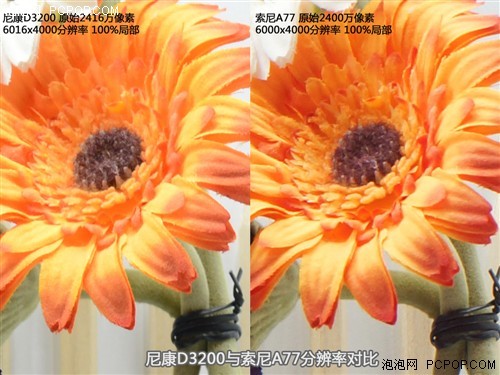尼康d3200与索尼a77相同像素的分辨率对比