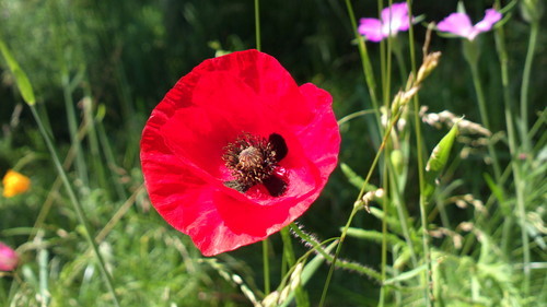 秒卡片赶超单反 诺基亚808拍照样张欣赏