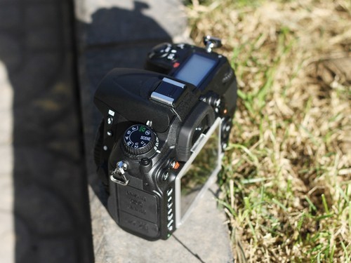 531019903.jpg