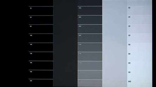 黑白色阶项目中,标准图像模式下白色阶还算比较好辨认,但是黑色阶表现