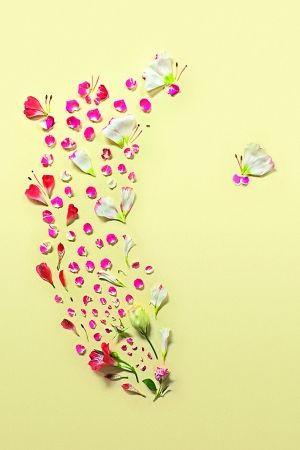 花瓣拼图简单图片
