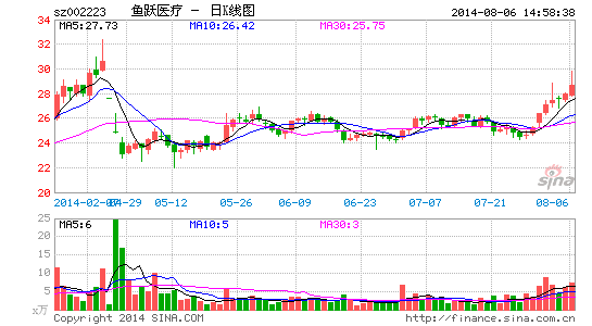 image_sinajs_cn_newchart_png_k_cn_sz002223_072114.png