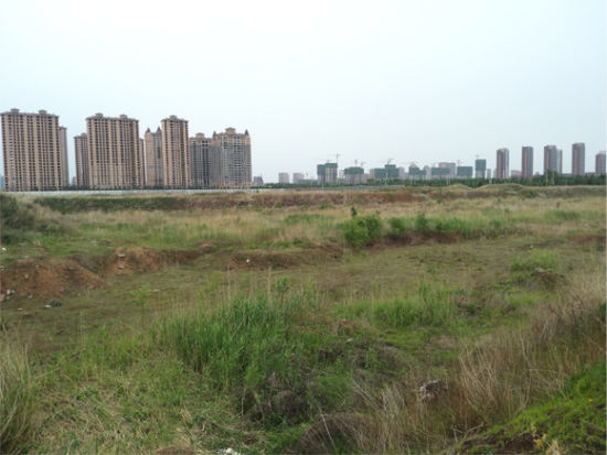 星河湾刚在去年买下这块南侧的荒地用于后期开发