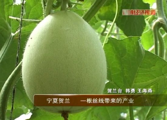 种香瓜视频 U5292P31T1D10964975F6000DT20111209104045.jpg