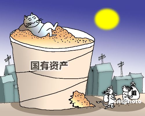 漫画:加大国有资产保护力度中新社发 谢正军 作版权声明:凡标注有"cns