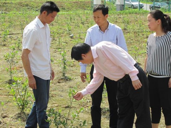 彭雁峰副厅长赴厅扶贫点指导调研