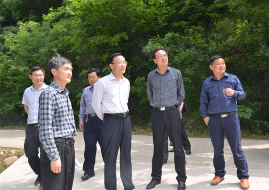 王民生到柯坦镇调研