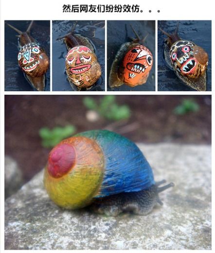 蜗牛壳上画漂亮图案保平安