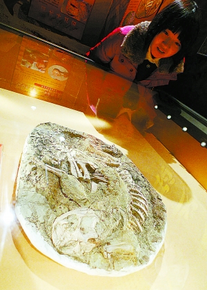自然博物馆展出珍稀恐龙木乃伊