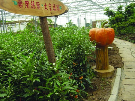 2007年10月启动建设的苍山现代农业示范园已初见雏形.