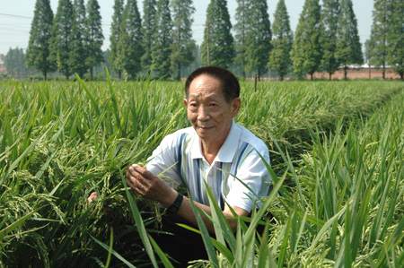 袁隆平的个人资料50字图片