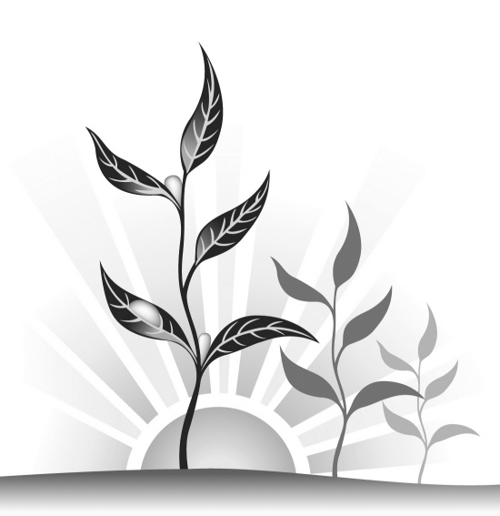 持报花和身份证免费领苗