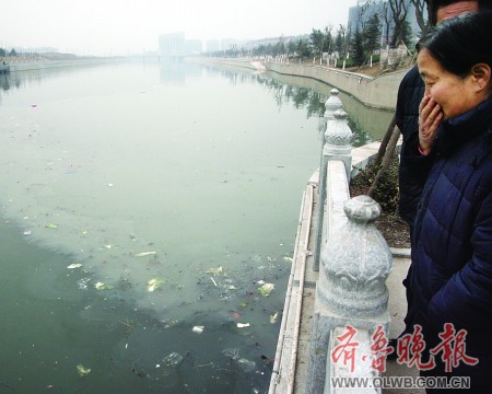 汙水渠再發飆小清河又臭了 清澈了沒幾天,黃臺板橋段再遭汙染