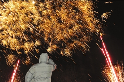 熊猫烟花新品试放