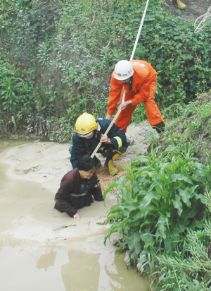 邹宇)昨日清晨,在九龙坡区锦龙路腾辉水泥厂附近晨练的市民惊讶地发现