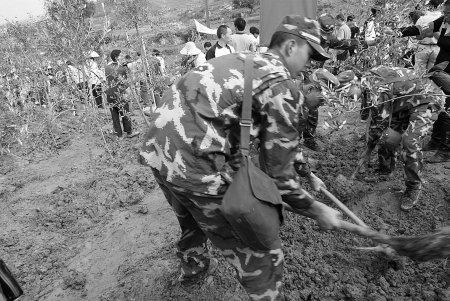 武警涼山森林支隊參加雨季植樹