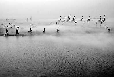 近日,山东省海区连续出现大雾天气,给海上交通运输安全带来严重影响