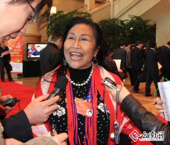 代表委员风采魏红人民满意是代表的最高荣誉