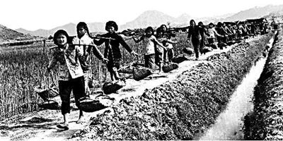 上山下乡是磨练更是悲剧