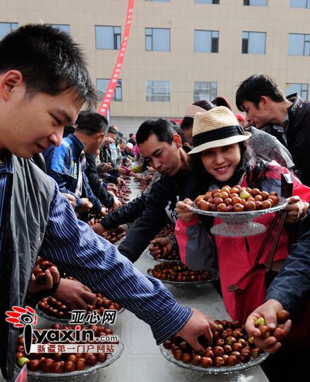 若羌县第八届红枣节隆重开幕