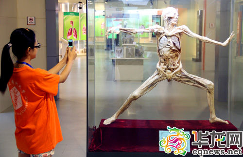 人类生命与健康博物馆开馆 500多件人体标本皆实物