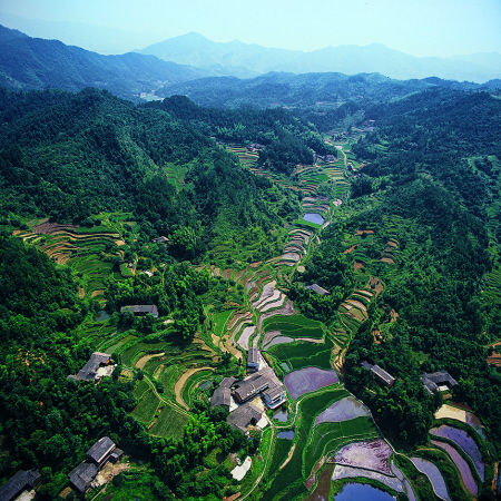 宁乡县 采茶赏花两相宜_新浪新闻