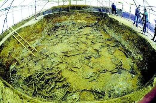 大悟县芳畈镇滚河村余家店有位叫余兵国的老板,自己掏腰包花5100多