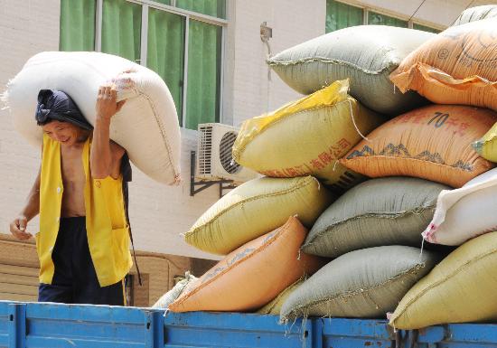 图文四川粮食部门加紧向灾区调运救灾粮食