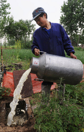 组图:安徽六安奶农因公司拒绝收购被迫倒奶