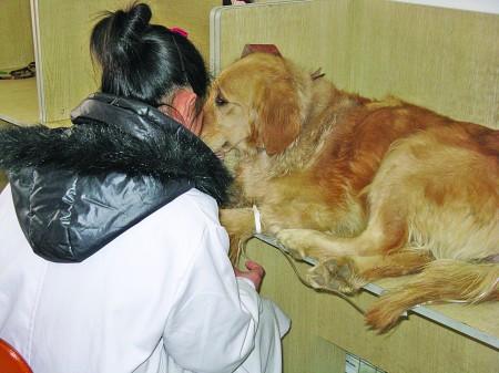 愛犬難產生個小狗花了三千元 寵物剖腹產價格直逼生孩子