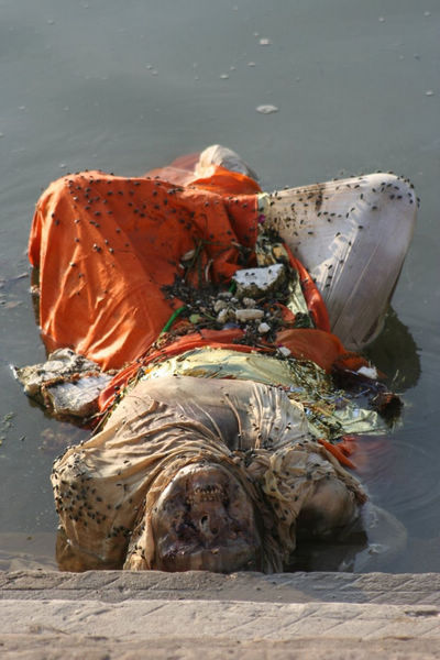 恒河浮尸印度图片
