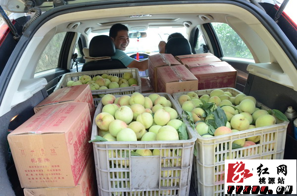 黄玉庭:退休回故里建成千亩桃花山