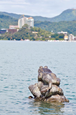 日月潭九蛙"解渴" 6只戏水3蛙于水平面露脸(图)