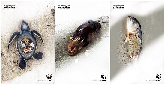 随手一丢就是谋杀那些被垃圾戕害的海洋动物