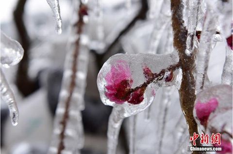 南方迎新一轮大范围雨雪天气 局地有大雪