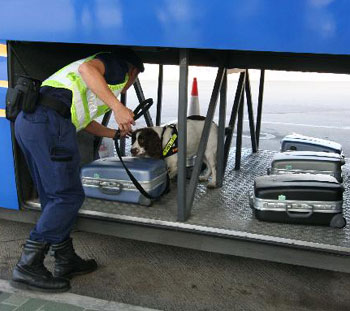 香港海关复活节加强行动 吁青少年切勿跨境贩毒