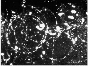 综合 正文   电子能在云室中形成轨迹,科学家借此观测它们.