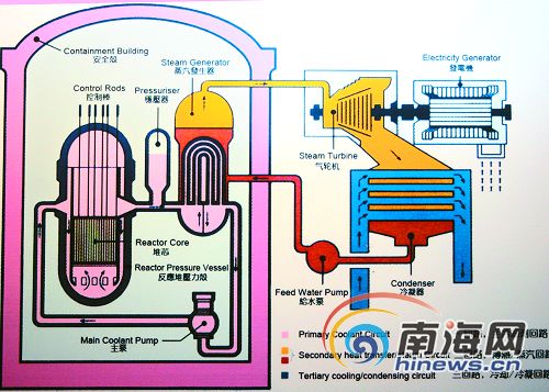 核电站构造图 南国都市报记者汪承贤翻拍