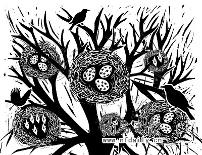 麻雀变成了金丝雀