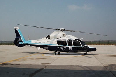 上海3架警用直升机在墓区上空巡视(组图)