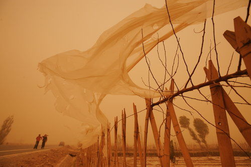 喀什 沙尘暴图片