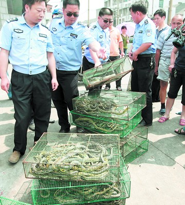 5吨野生蛇放生山林