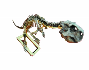 "侏罗纪公园"不日现金城